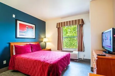 The Vistas 119 Modern With Full Kitchen 1st Floor Great Location *
